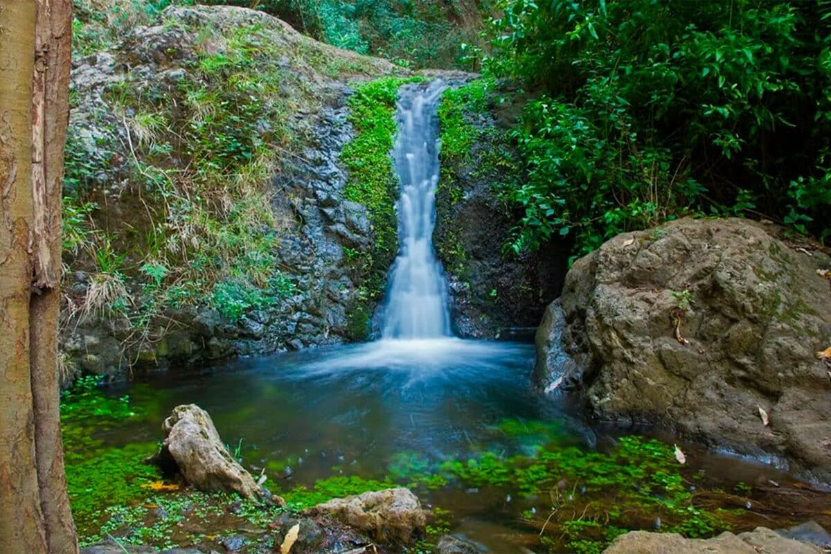 Plongée dans l'émerveillement : les cascades de la Vis et leurs secrets cachés